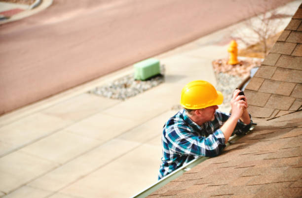 Best Roof Gutter Cleaning  in Sioux Center, IA
