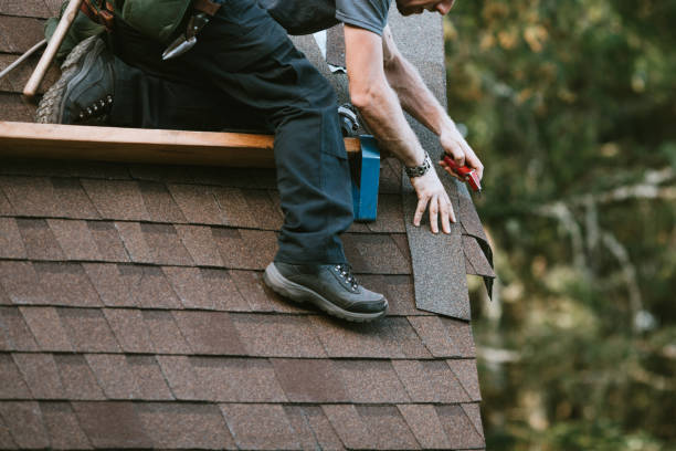 Best Metal Roofing Contractor  in Sioux Center, IA